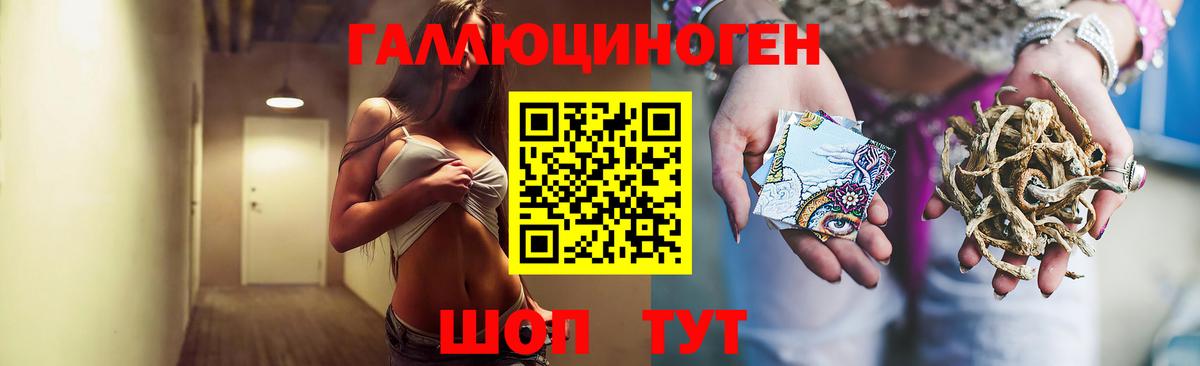 где можно купить   Галлюциногенные грибы Magic Shrooms  Вход с VPN  Галлюциногенные грибы Cubensis  Сертолово 